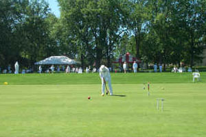 Крокет (croquet)